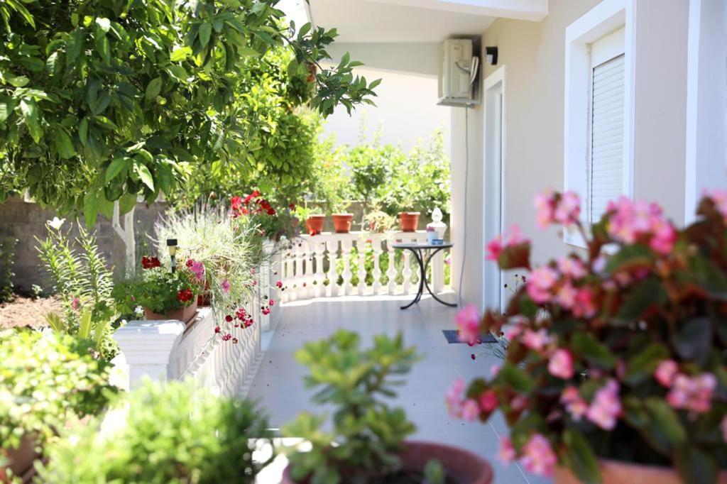 Guest House Narta Vlorë Exterior foto